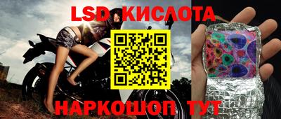 СК Славгород